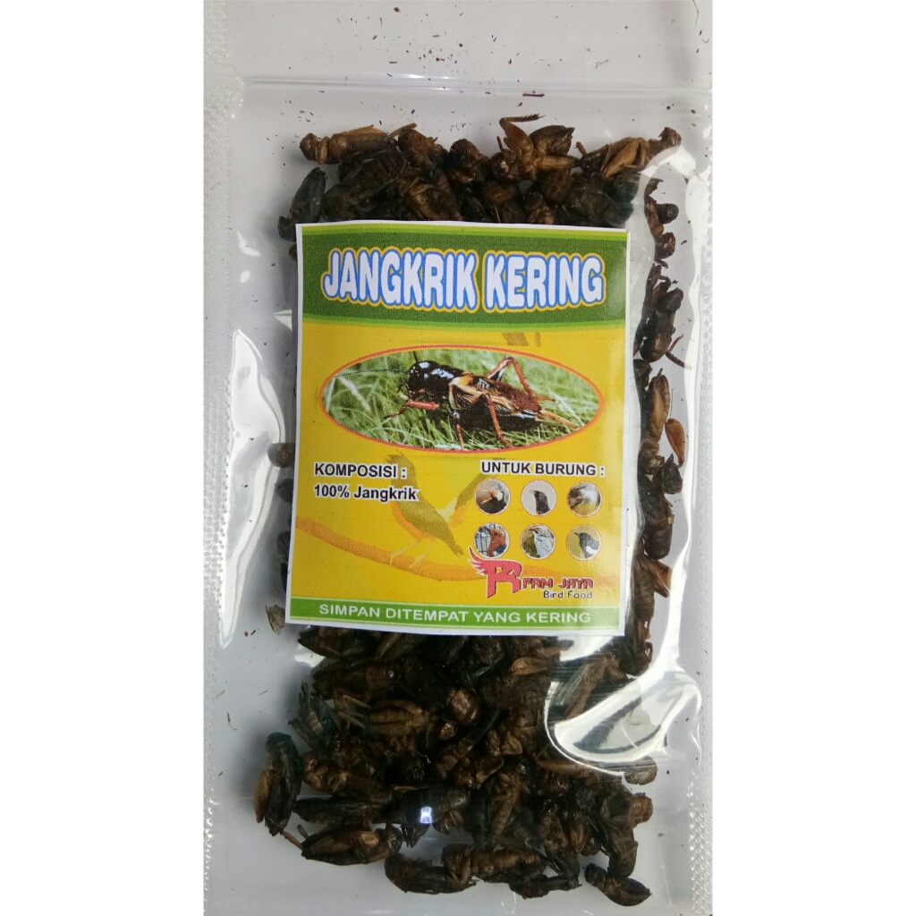 Jangkrik Kering Reptil 50g